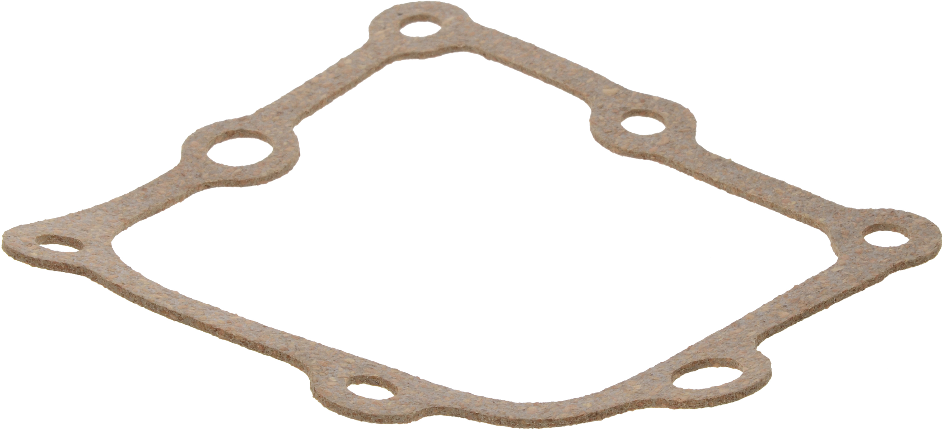 Differential Shifter Seal