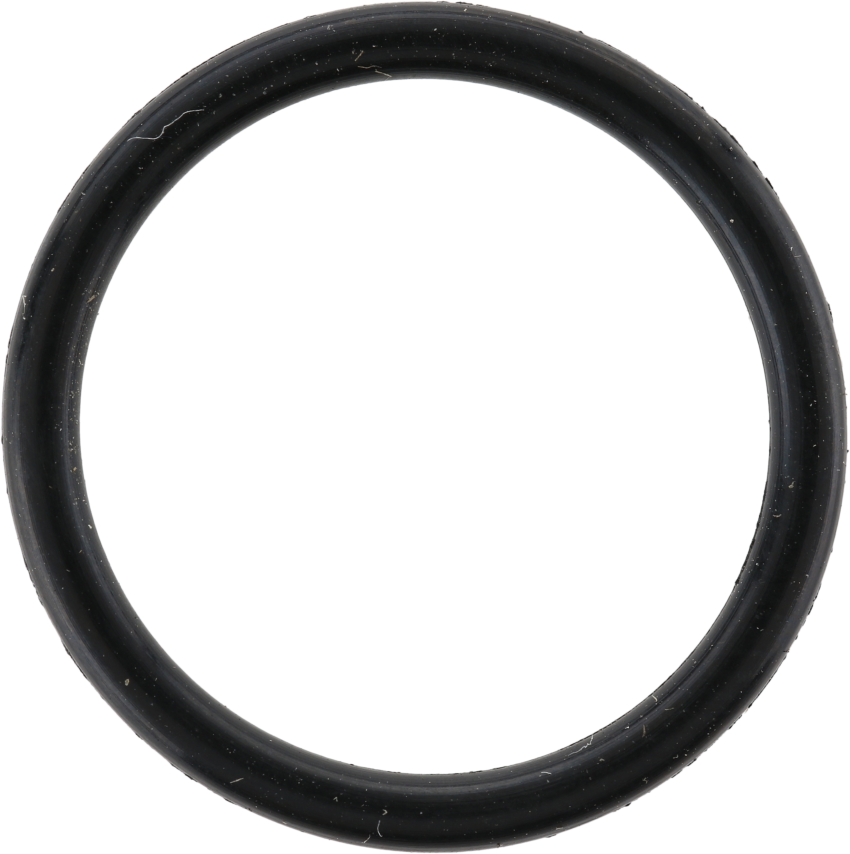 Multi Purpose O-Ring