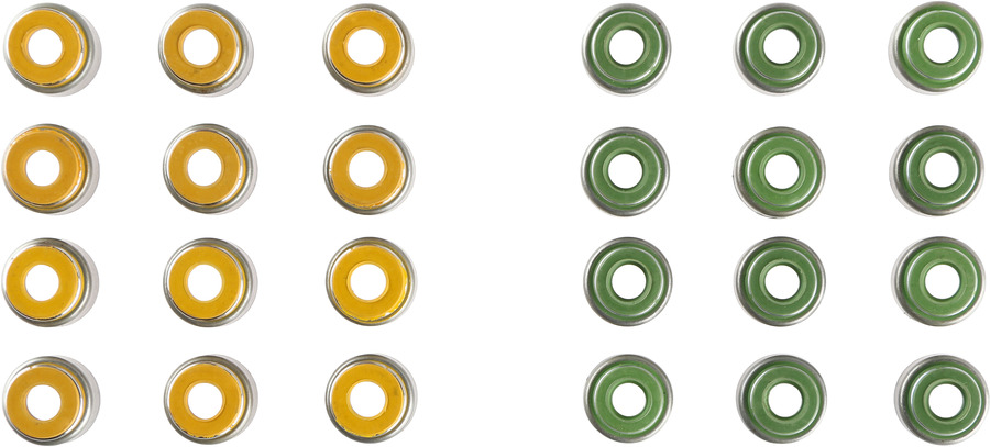 Engine Valve Stem Oil Seal Set