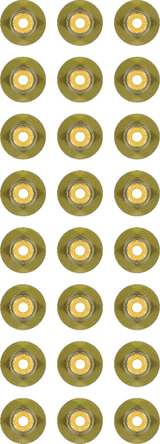 Engine Valve Stem Oil Seal Set