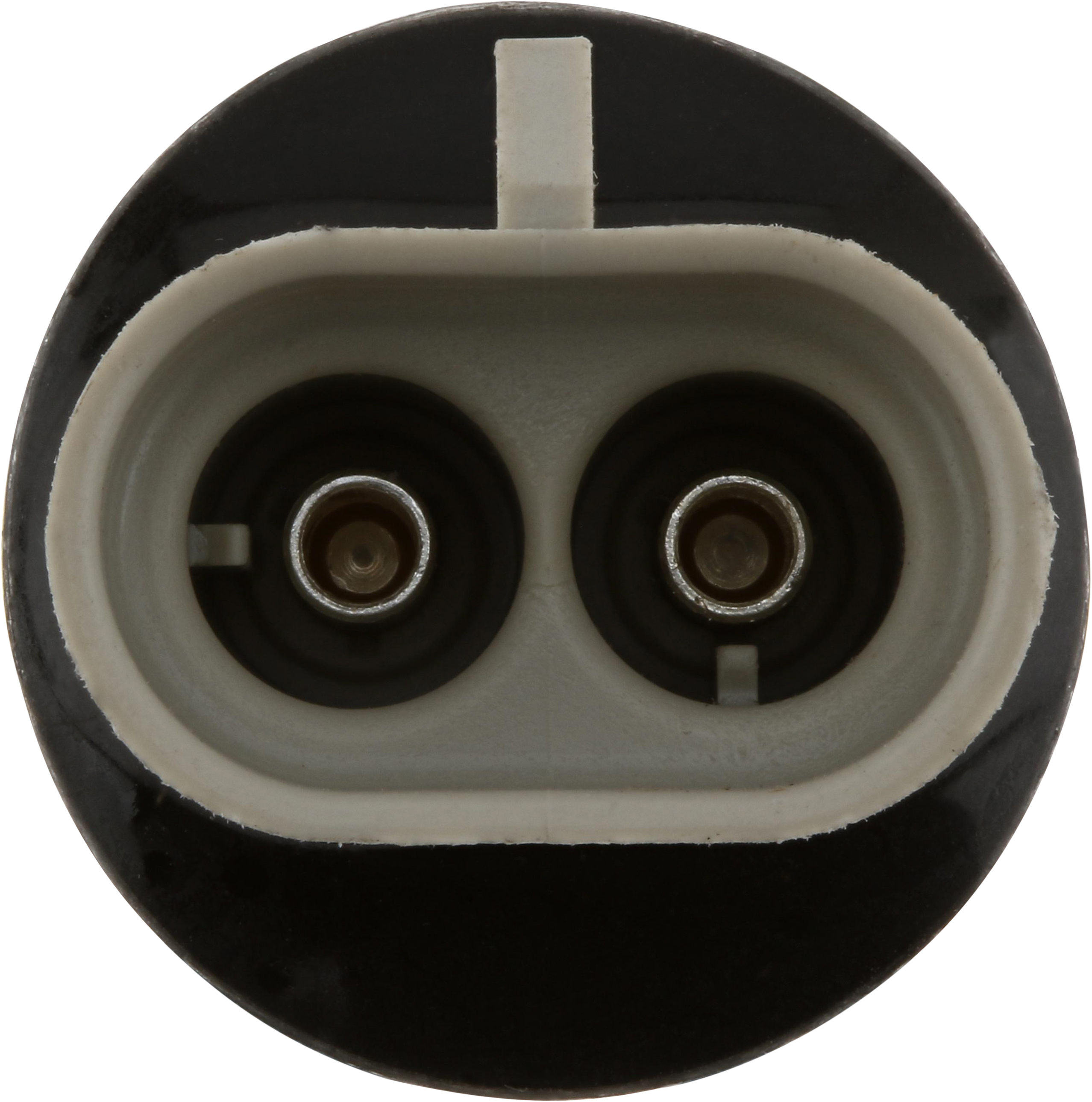 Two Speed Rear Axle Shift Wiring Harness