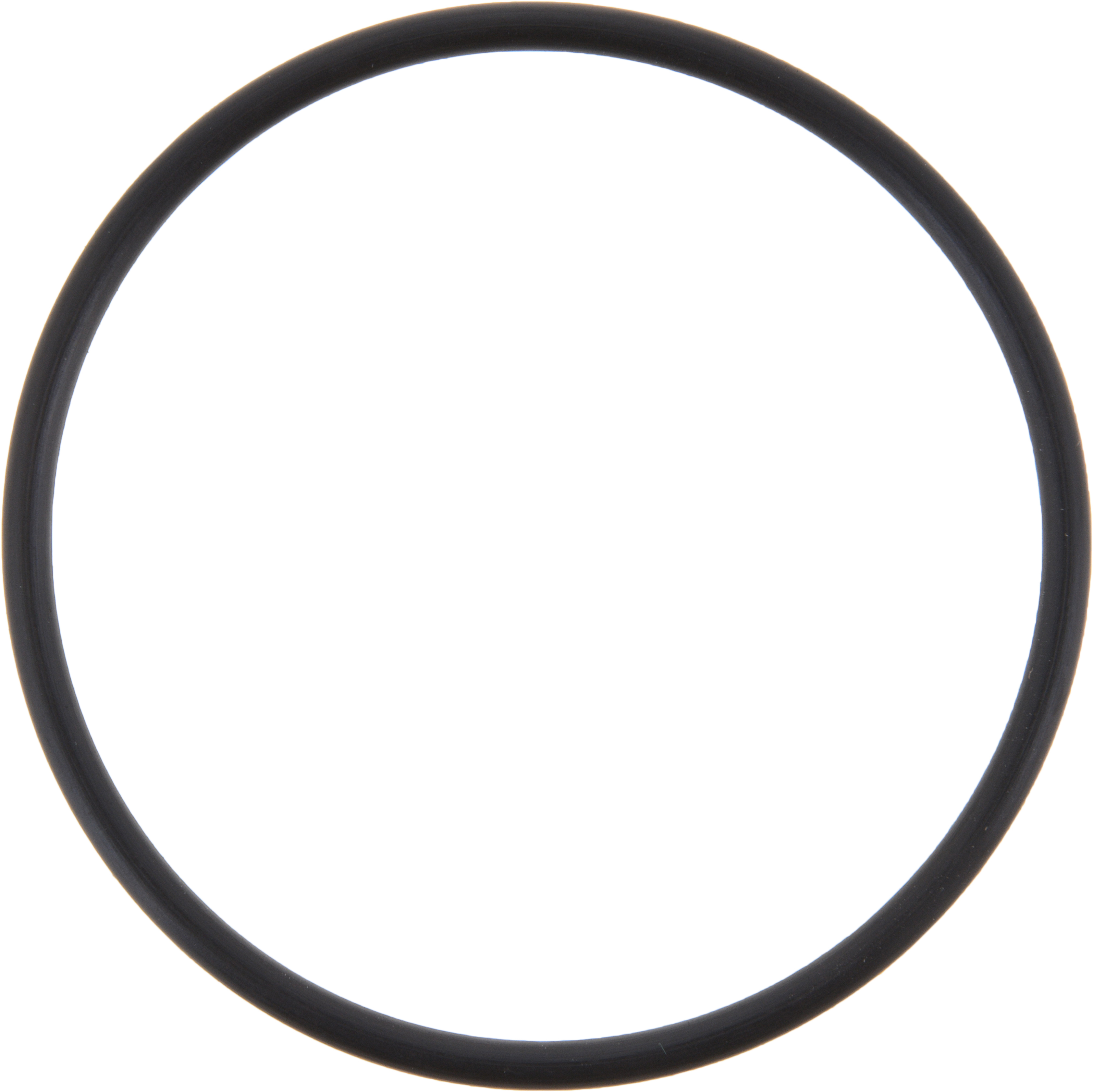 Multi Purpose O-Ring