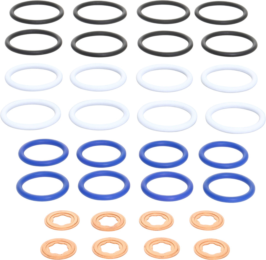 Fuel Injector O-Ring Kit
