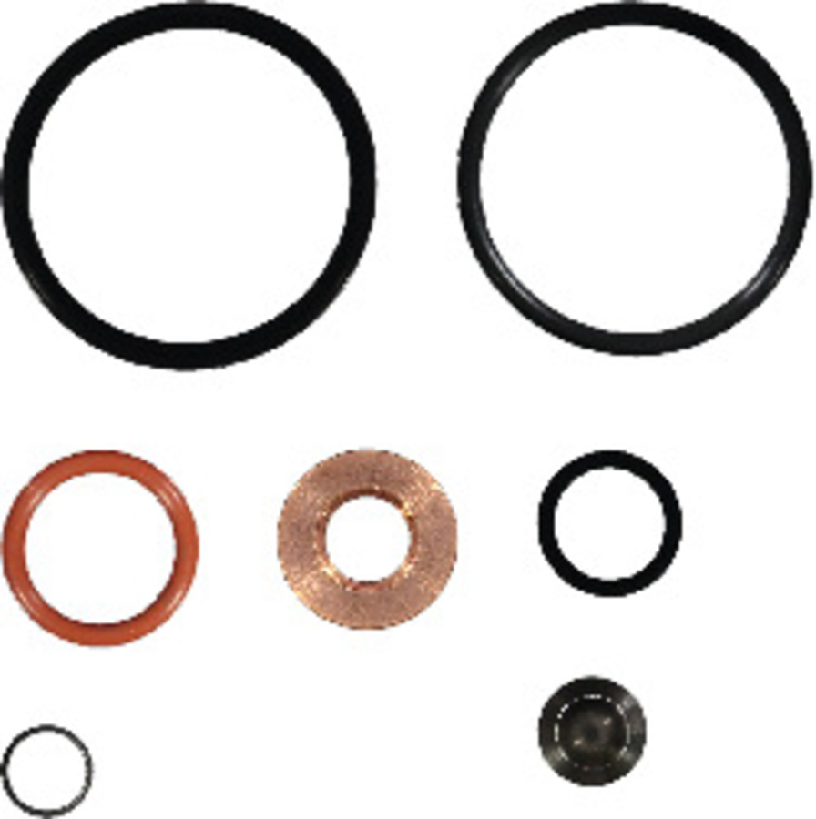 danaaftermarket.com | Fuel Injector O-Ring Kit
