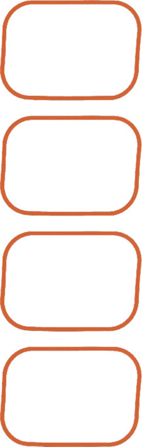 Engine Intake Manifold Gasket Set