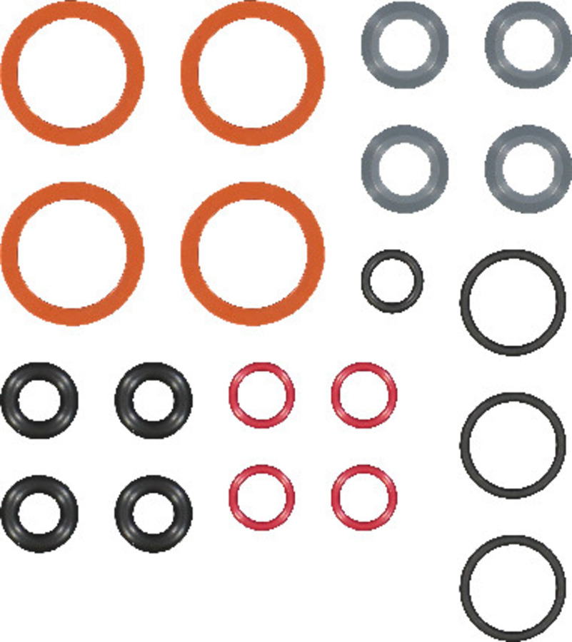 Fuel Injector O-Ring Kit