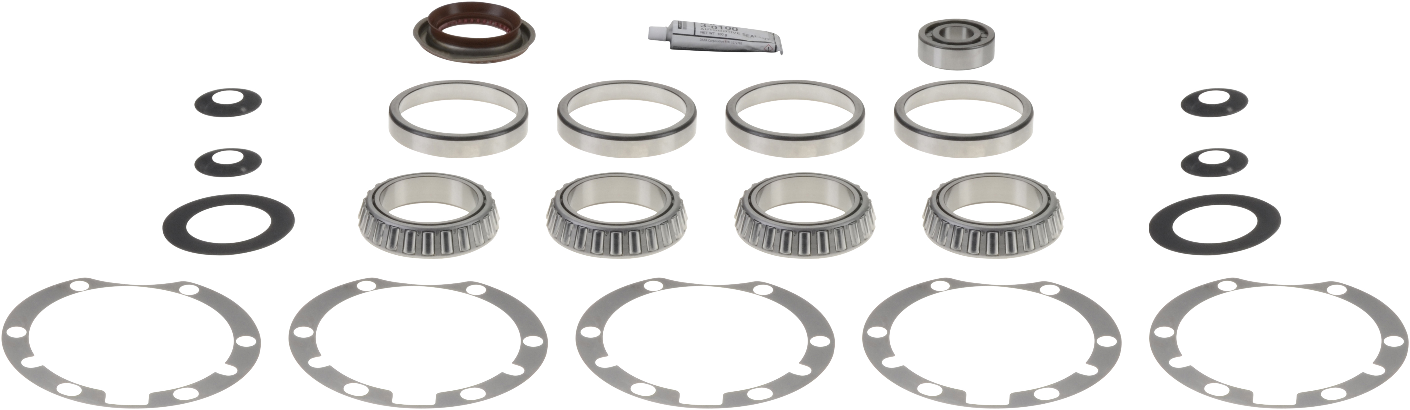Axle Differential Bearing and Seal Kit