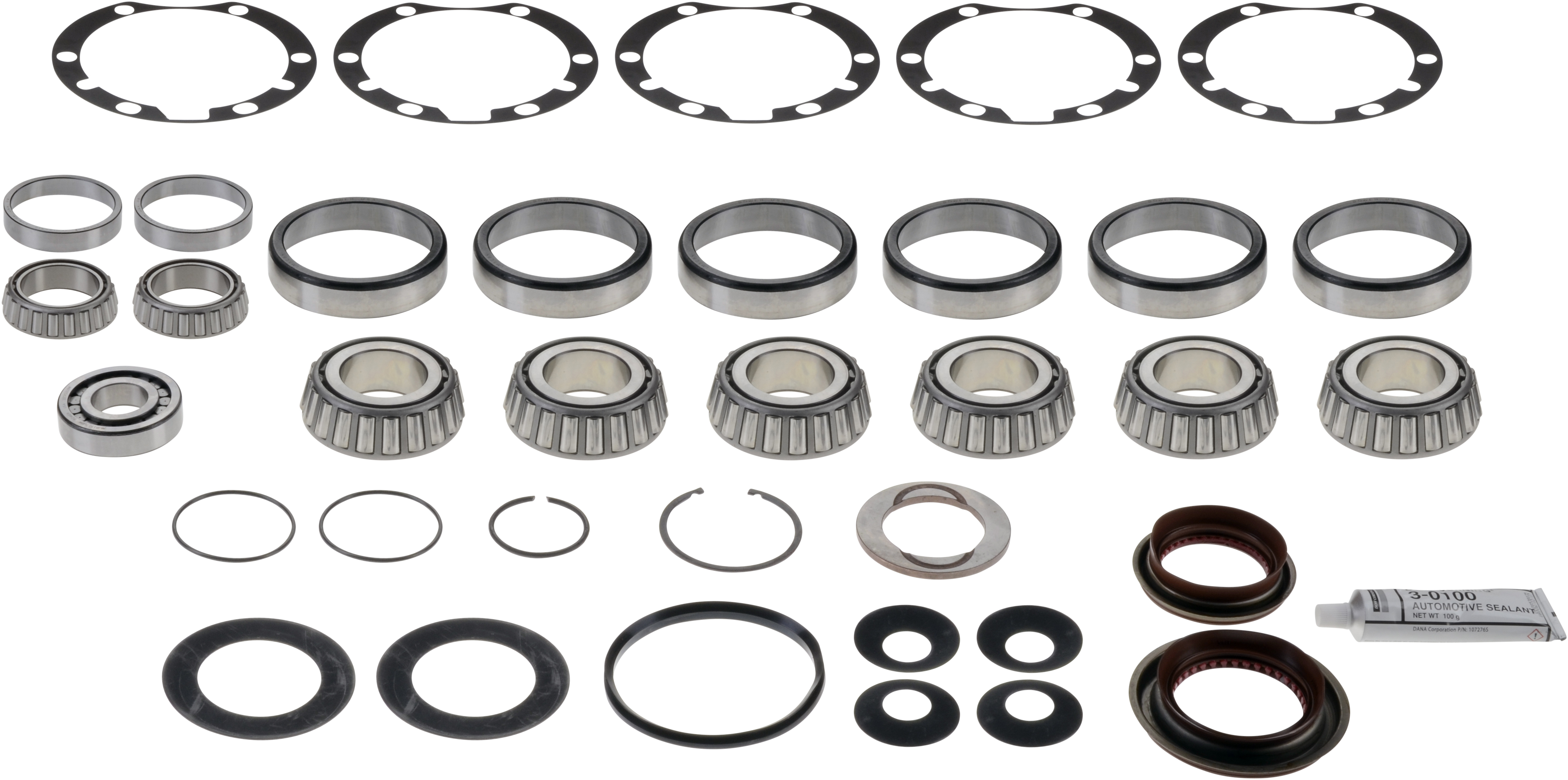 Axle Differential Bearing and Seal Kit