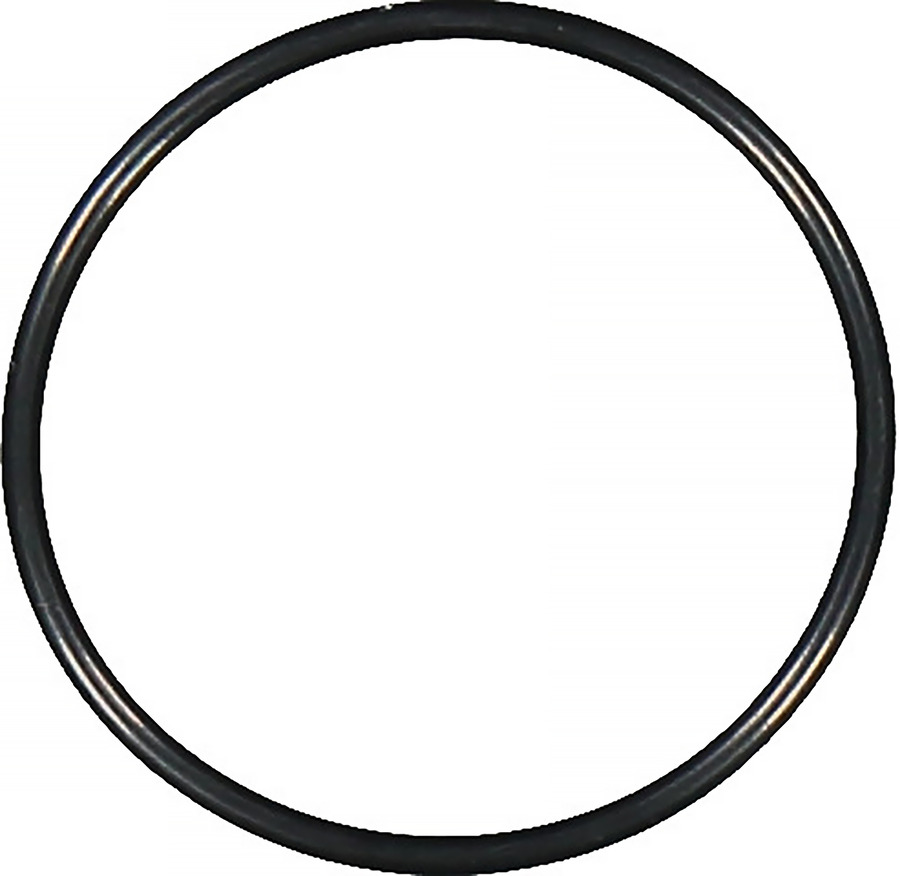 Engine Water Pump Housing O-Ring