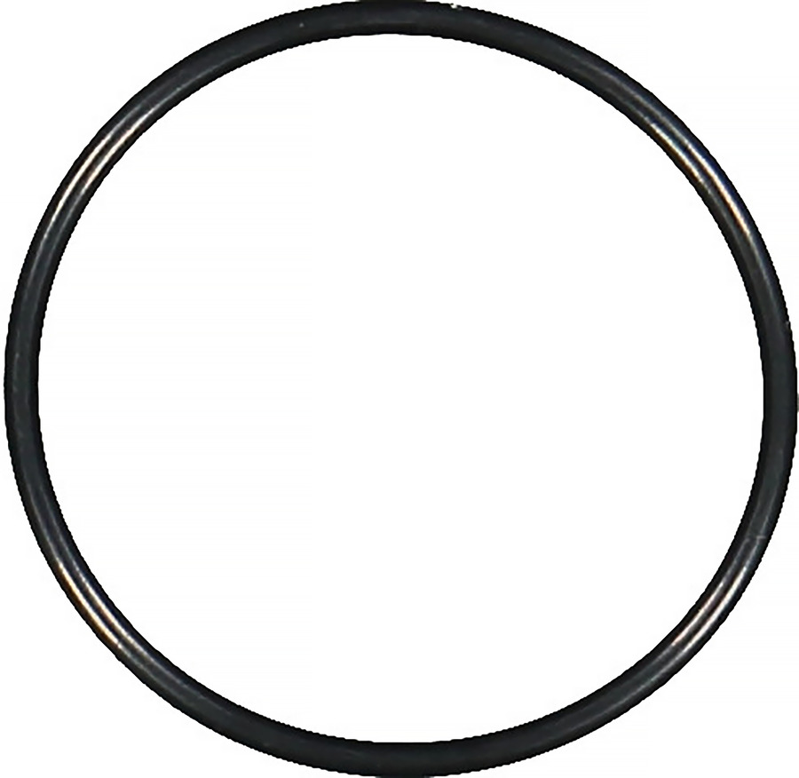 Engine Water Pump Housing O-Ring