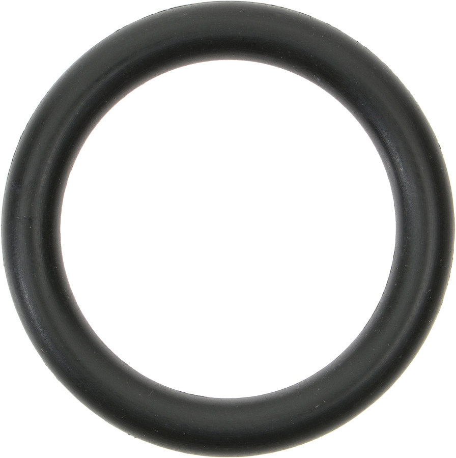 Multi-Purpose O-Ring