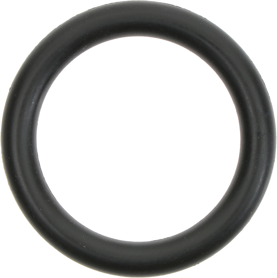 Multi-Purpose O-Ring