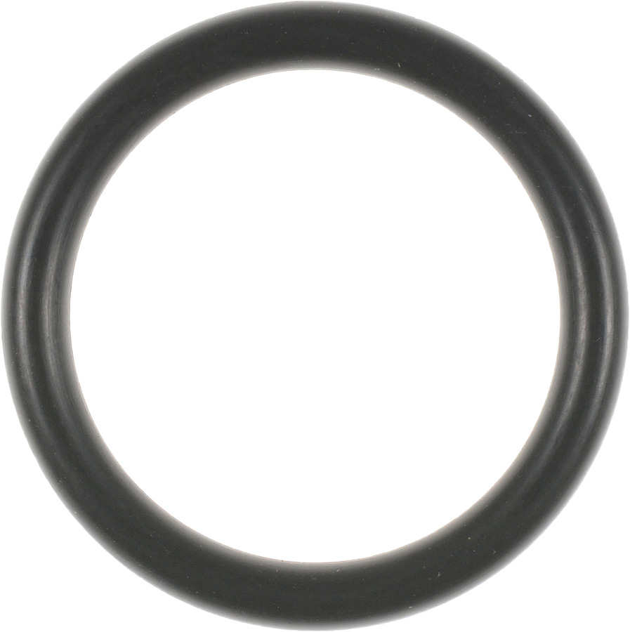 Multi Purpose O-Ring
