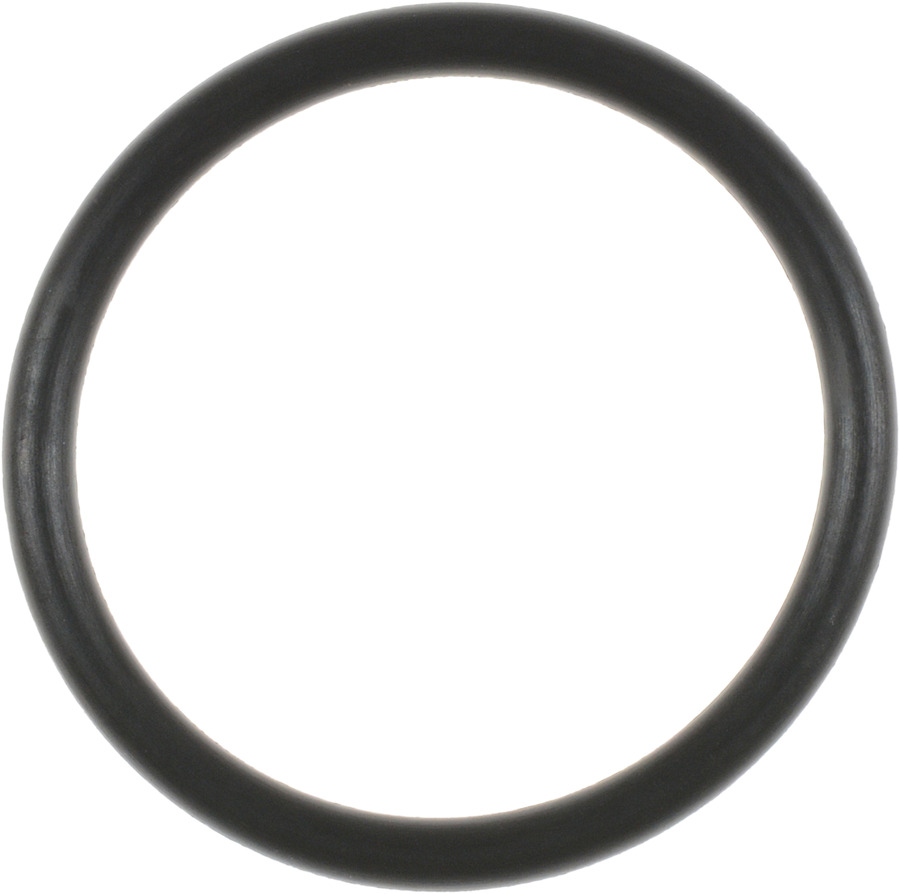Engine Coolant Outlet O-Ring
