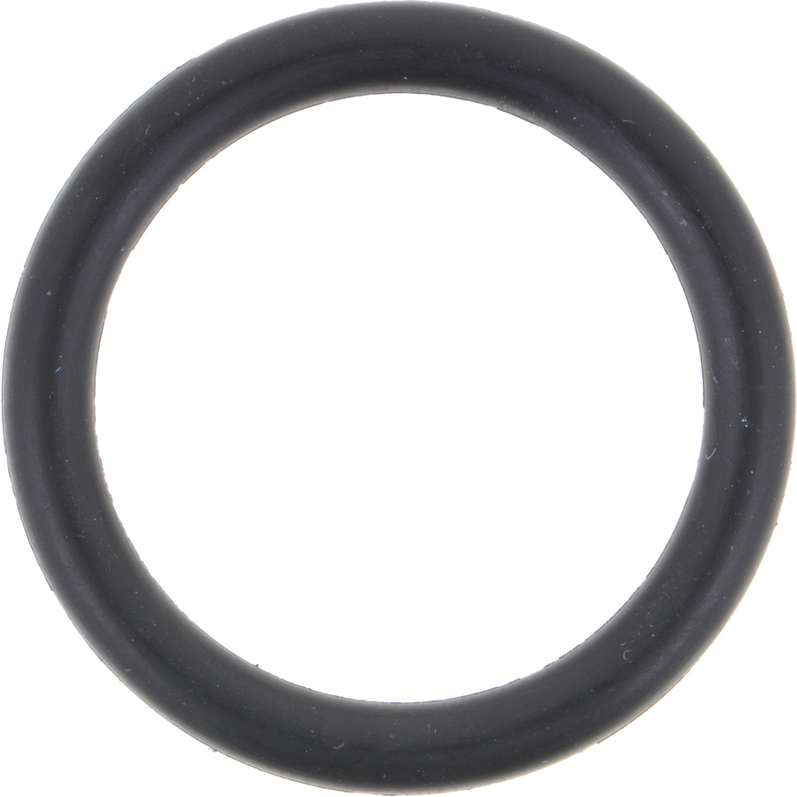 Multi-Purpose O-Ring