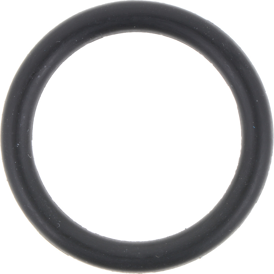 Multi-Purpose O-Ring