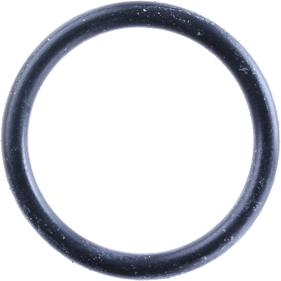 Multi Purpose O-Ring