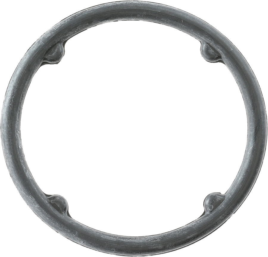 Engine Oil Cooler O-Ring