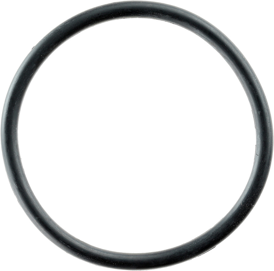 Engine Water Pump Housing O-Ring