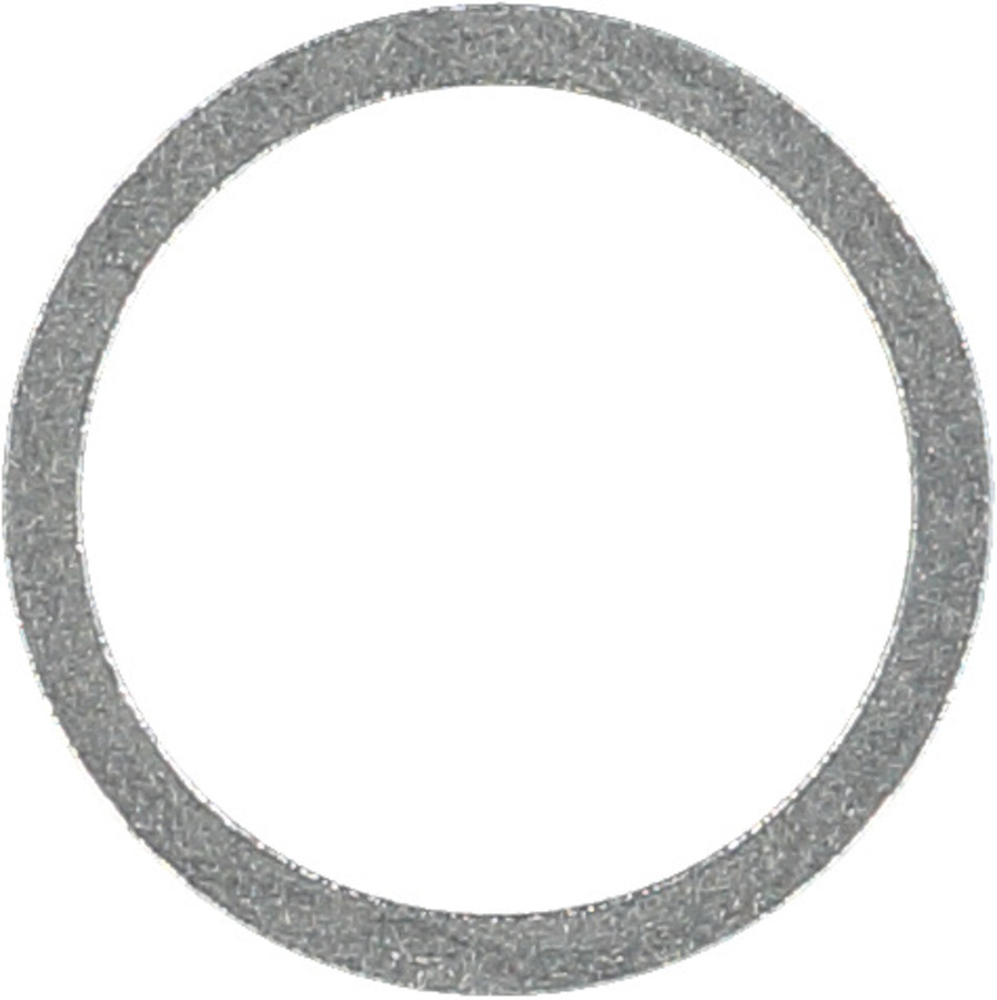 Seal Ring / Washer