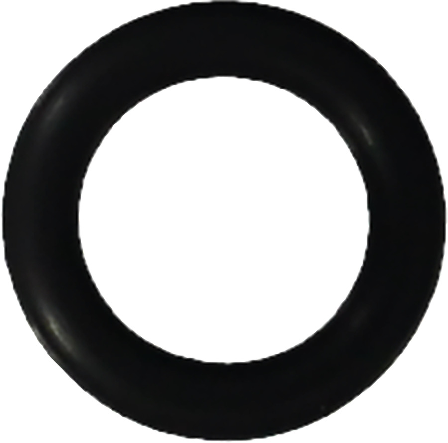 Engine Coolant Outlet O-Ring