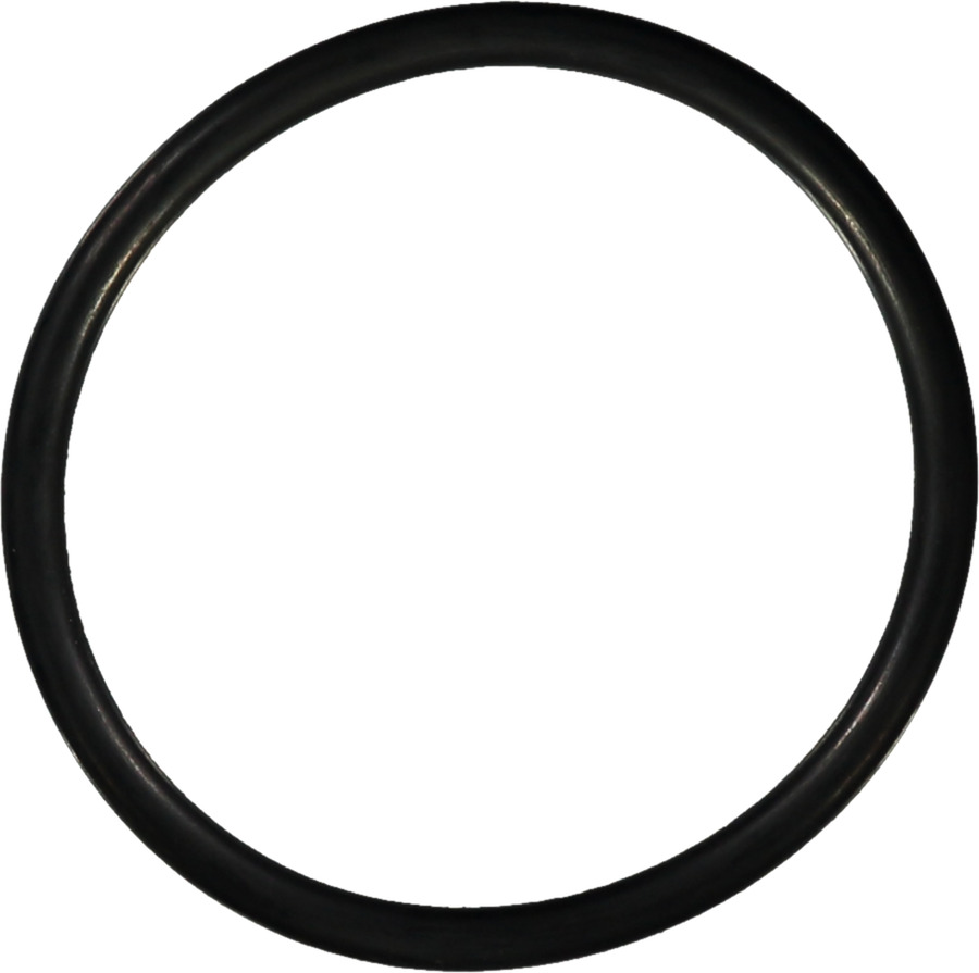 Multi-Purpose O-Ring
