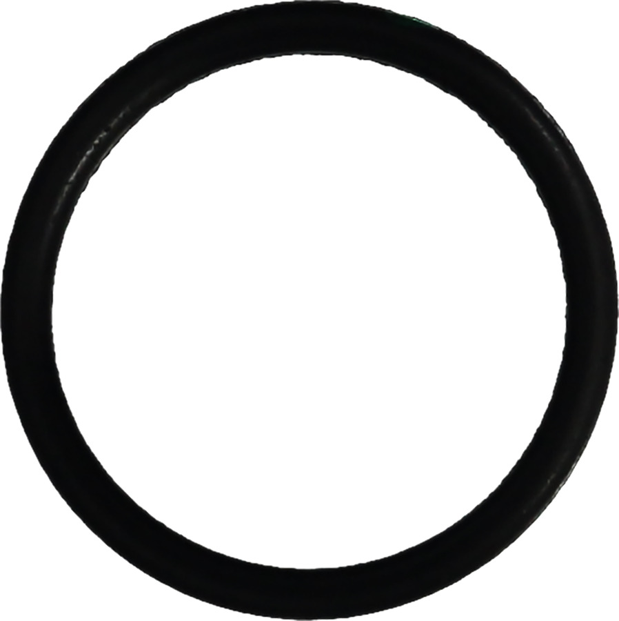 Engine Coolant Outlet O-Ring