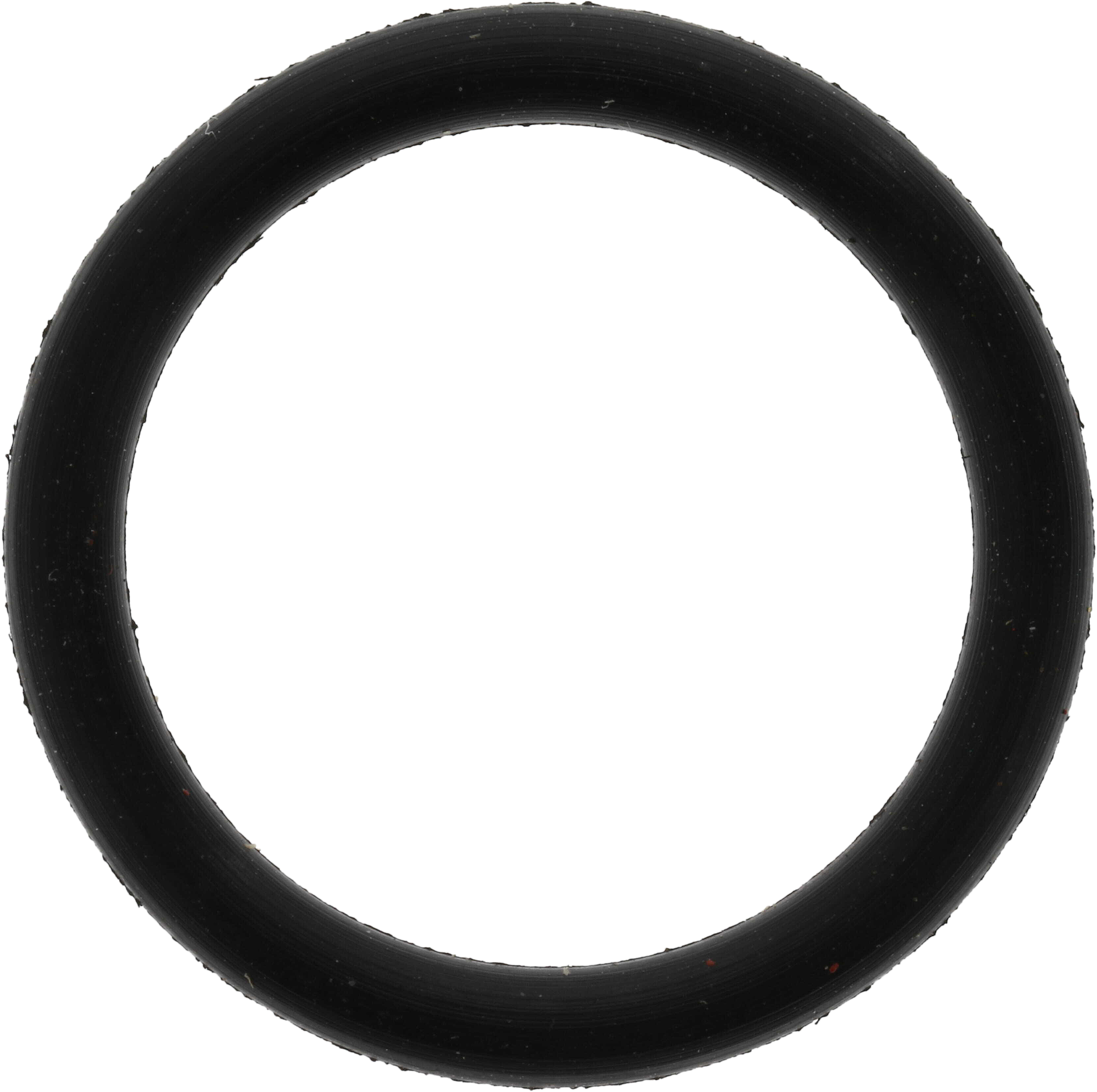 danaaftermarket.com | Differential Housing O-Ring