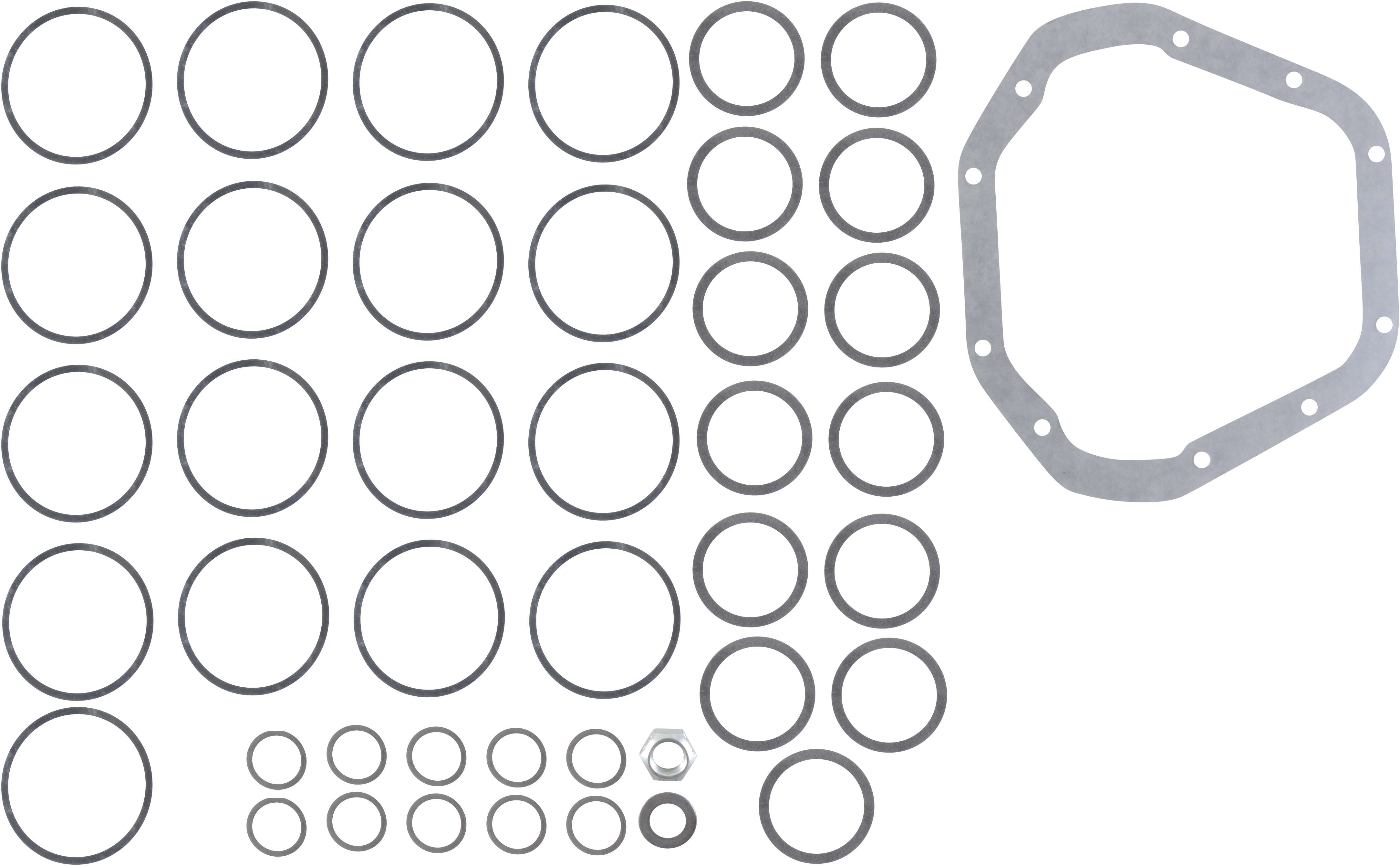 Differential and Pinion Shim Kit
