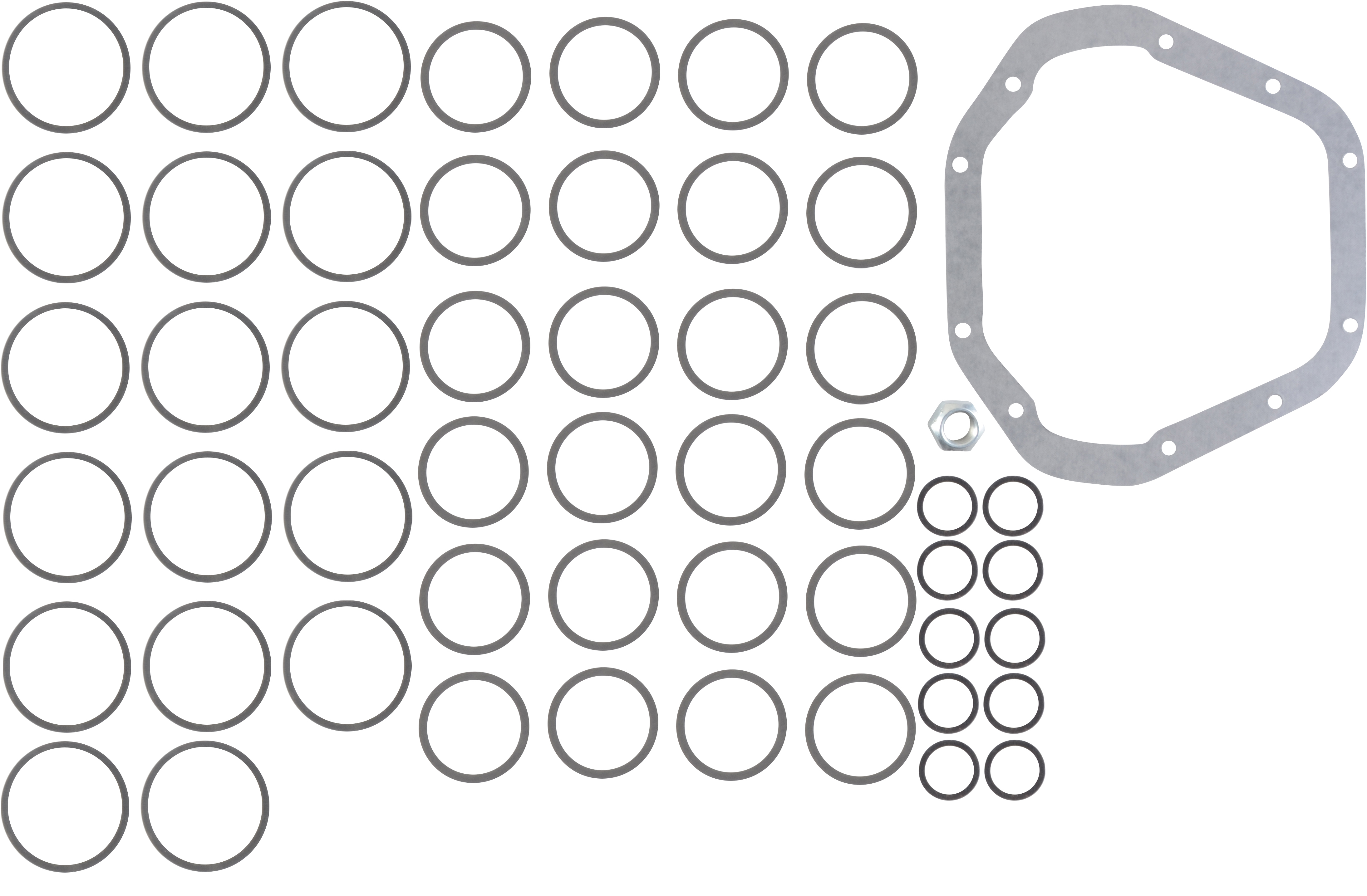 Differential and Pinion Shim Kit