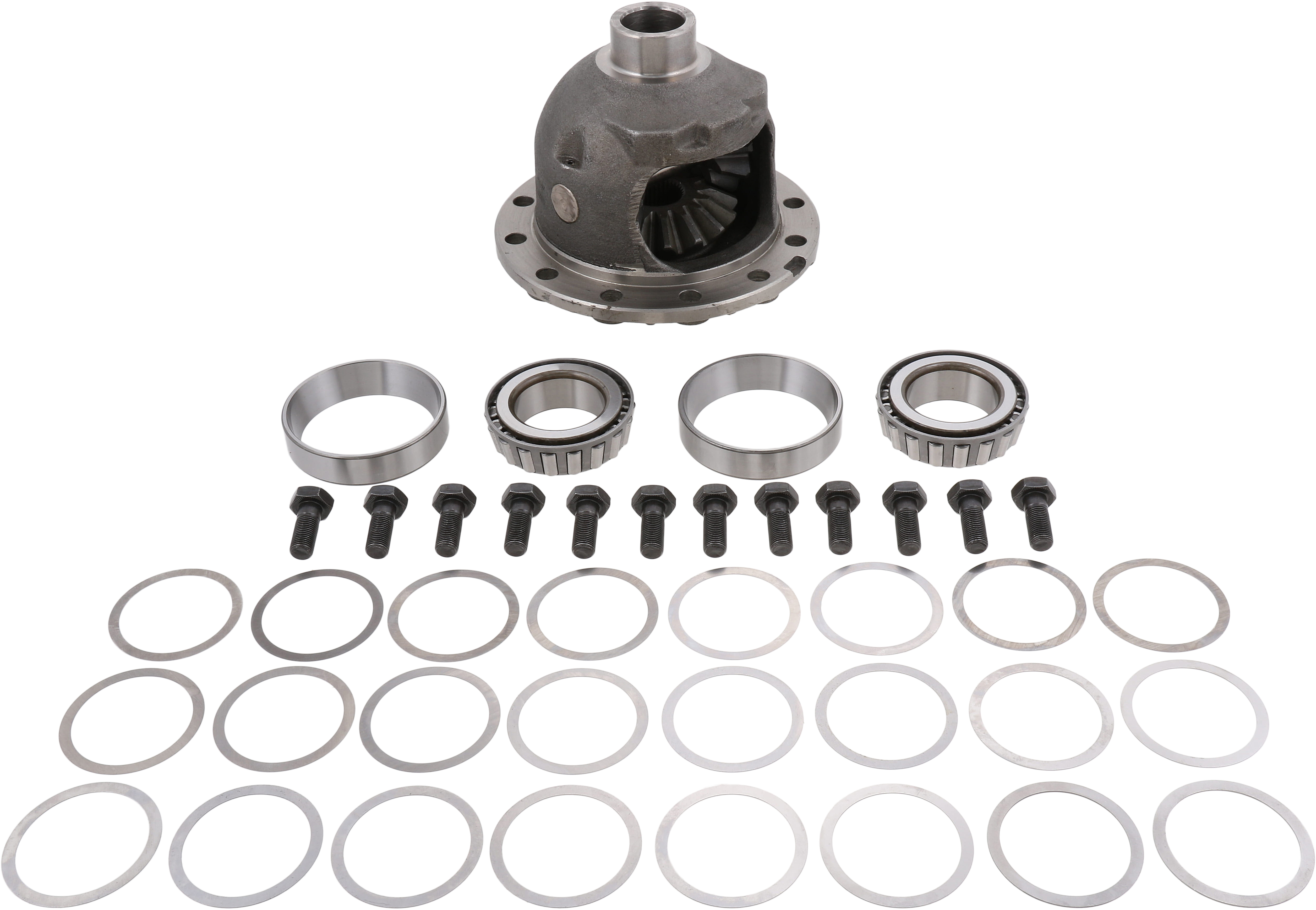 Differential Carrier