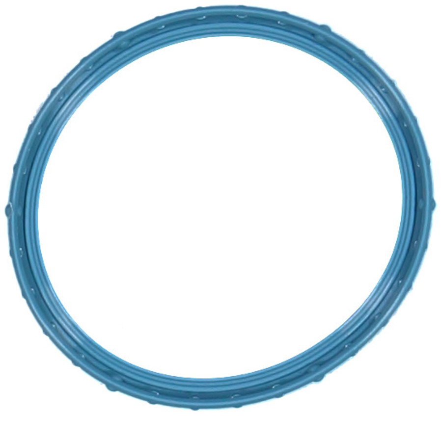 Fuel Injection Throttle Body Mounting Gasket