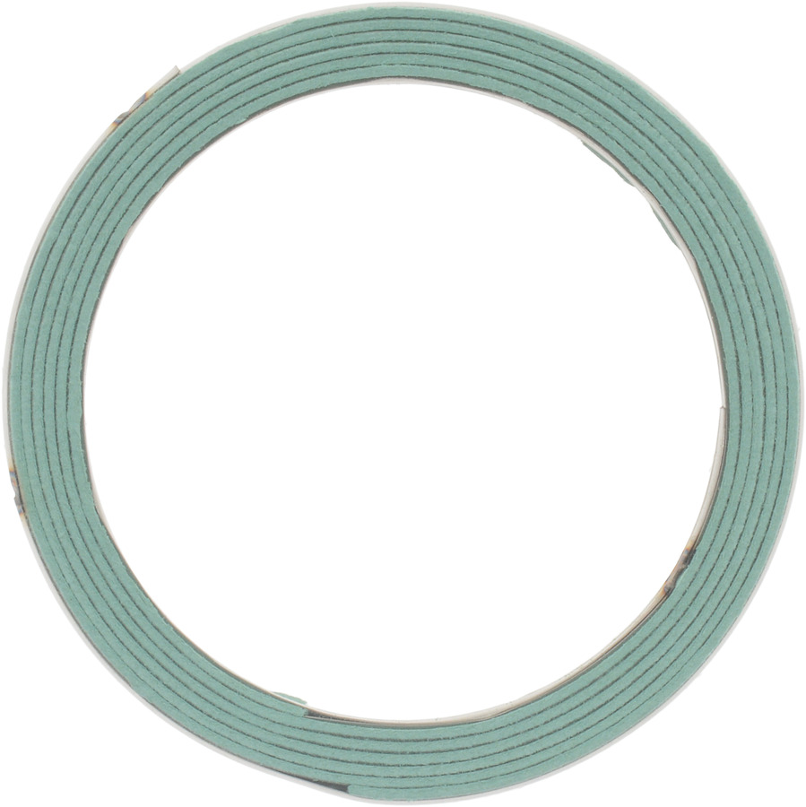 Catalytic Converter Gasket