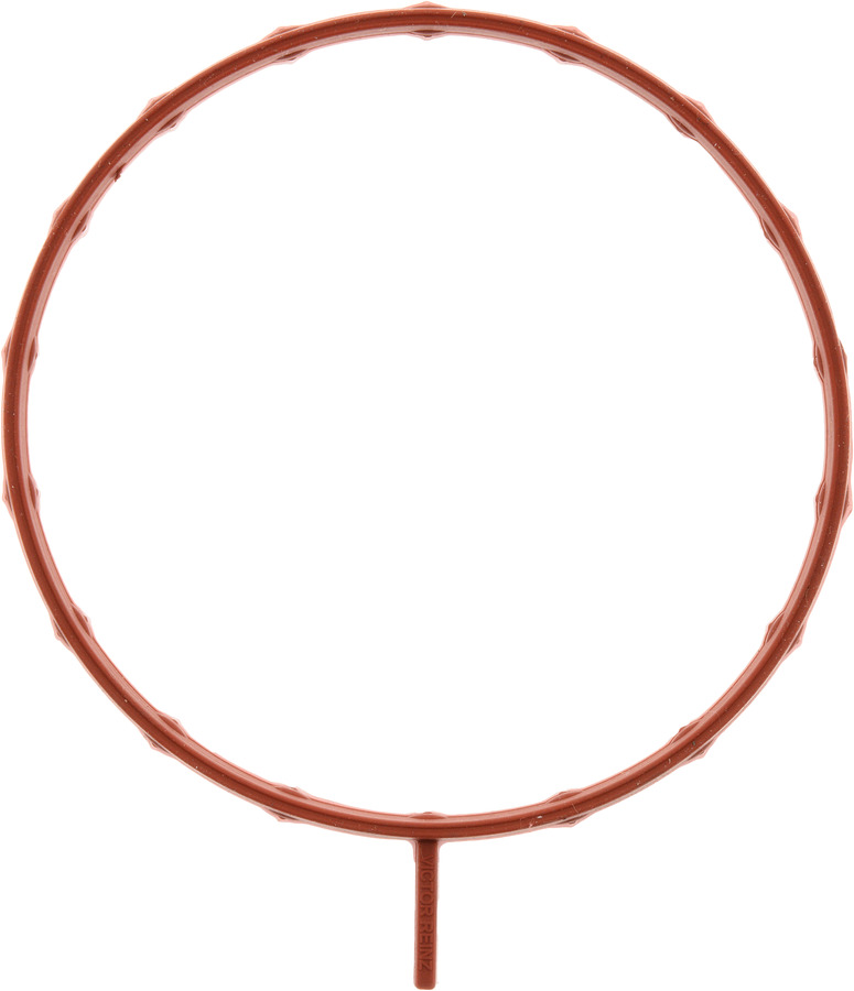 Fuel Injection Throttle Body Mounting Gasket