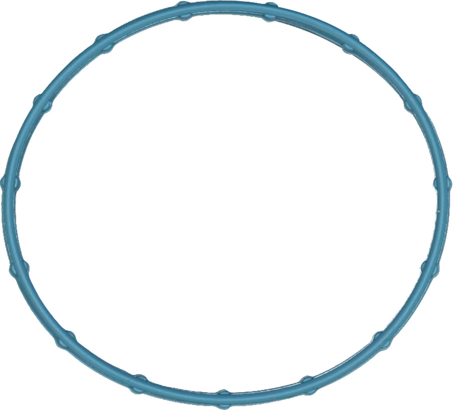 Fuel Injection Throttle Body Mounting Gasket