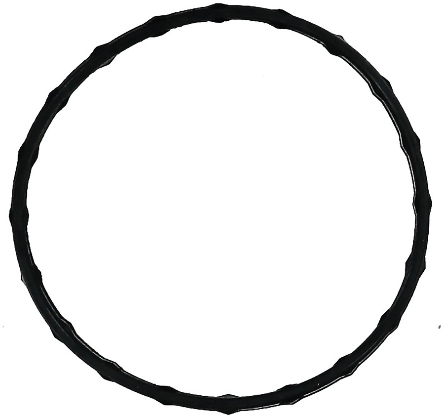 Engine Coolant Thermostat Housing O-Ring