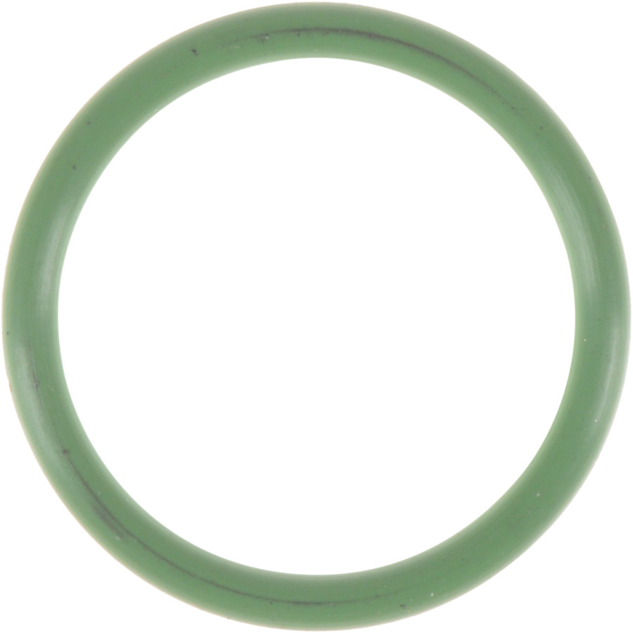 Fuel Injection Idle Air Control Valve Seal