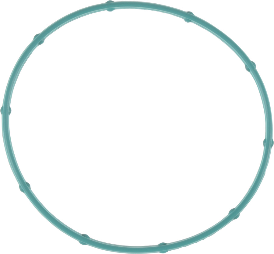 Fuel Injection Throttle Body Mounting Gasket