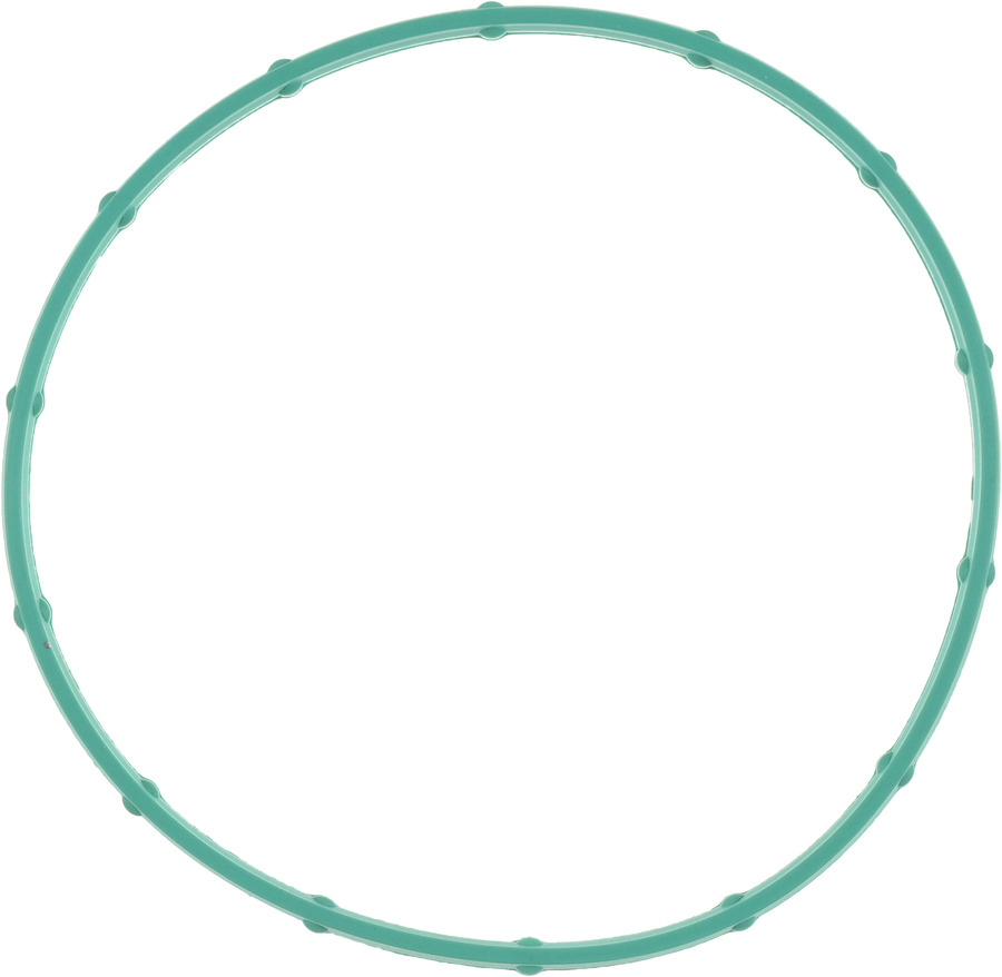 Fuel Injection Throttle Body Mounting Gasket