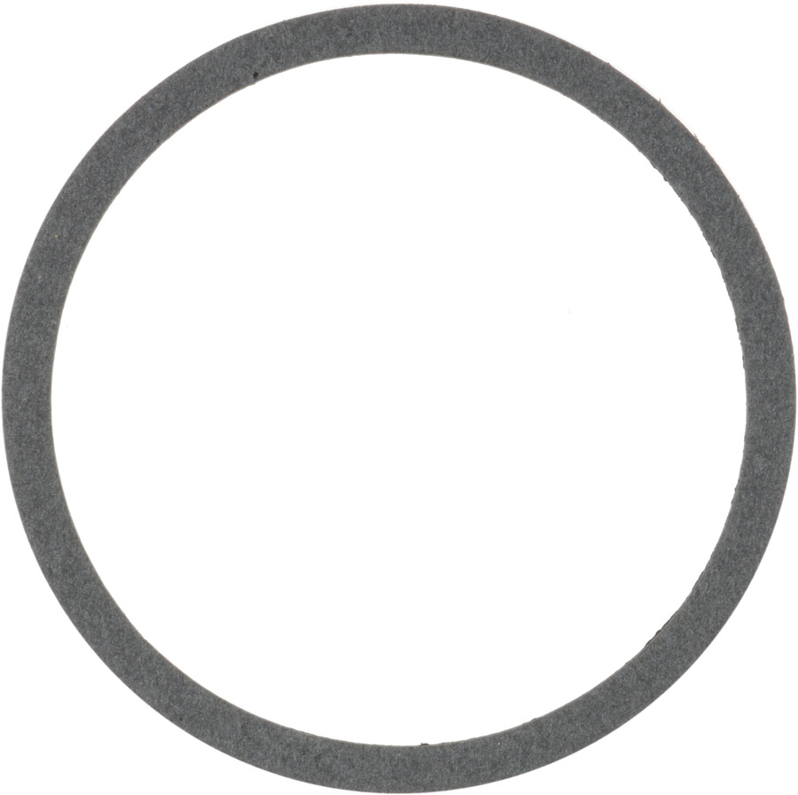 Air Cleaner Mounting Gasket