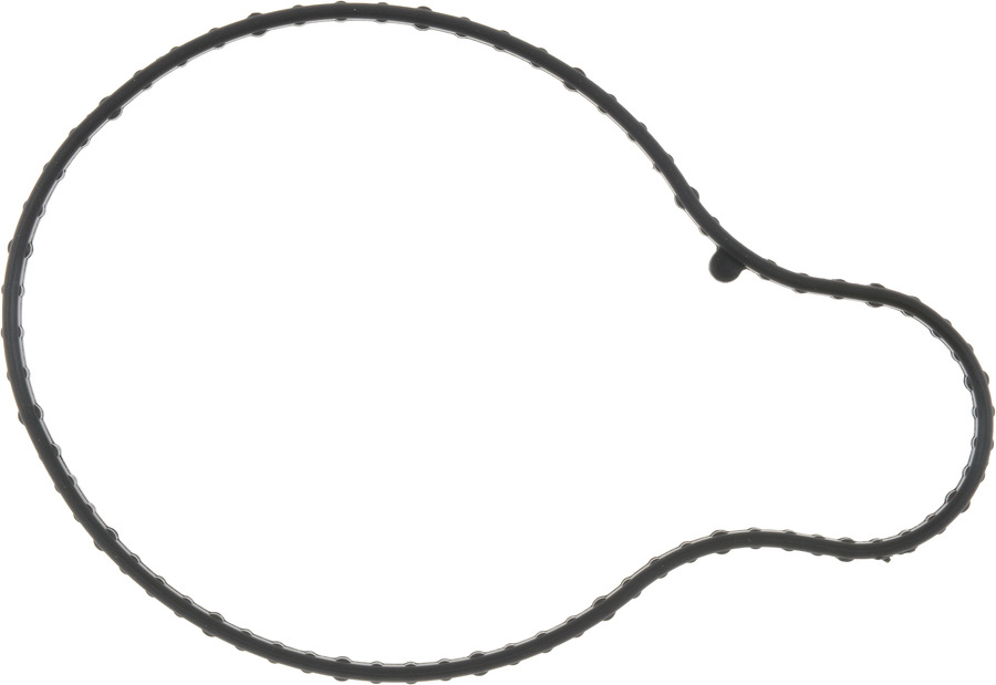 Engine Water Pump Gasket