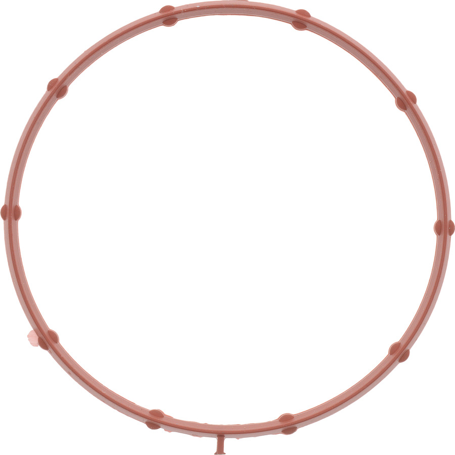 Fuel Injection Throttle Body Mounting Gasket