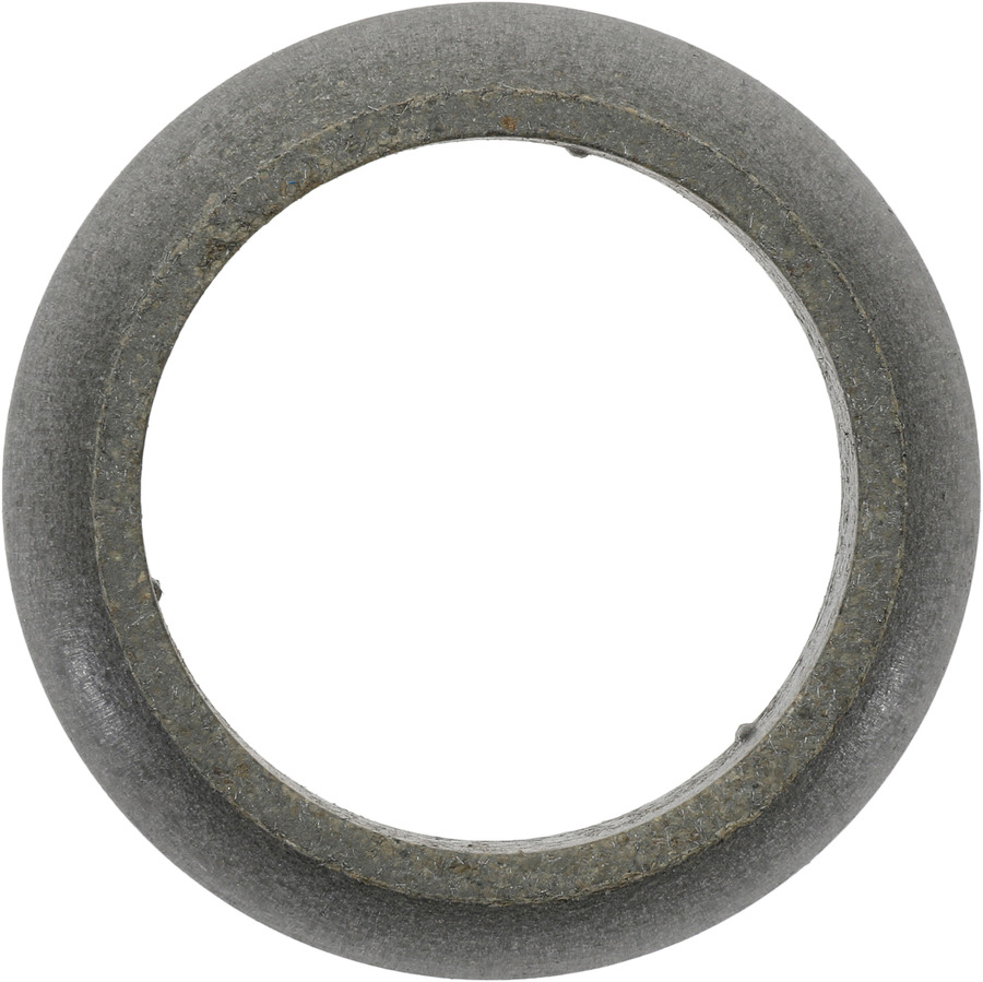 Catalytic Converter Gasket