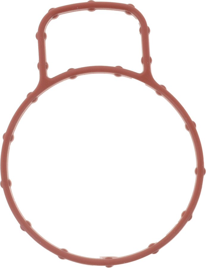 Fuel Injection Throttle Body Mounting Gasket