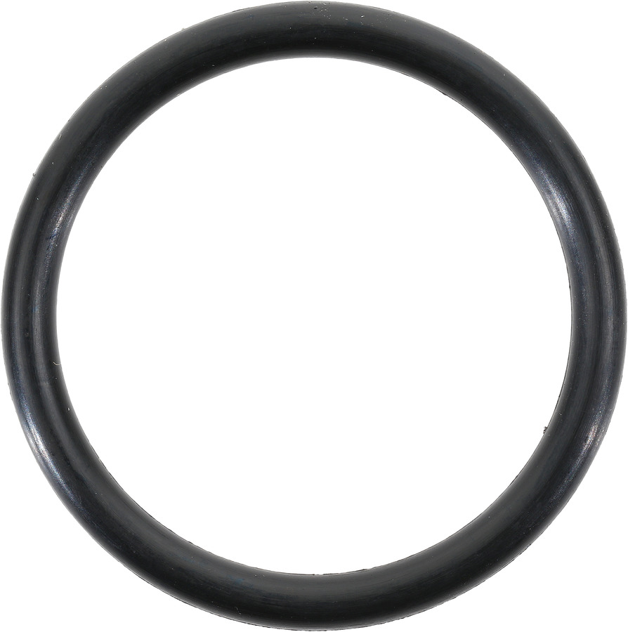 Engine Coolant Outlet O-Ring