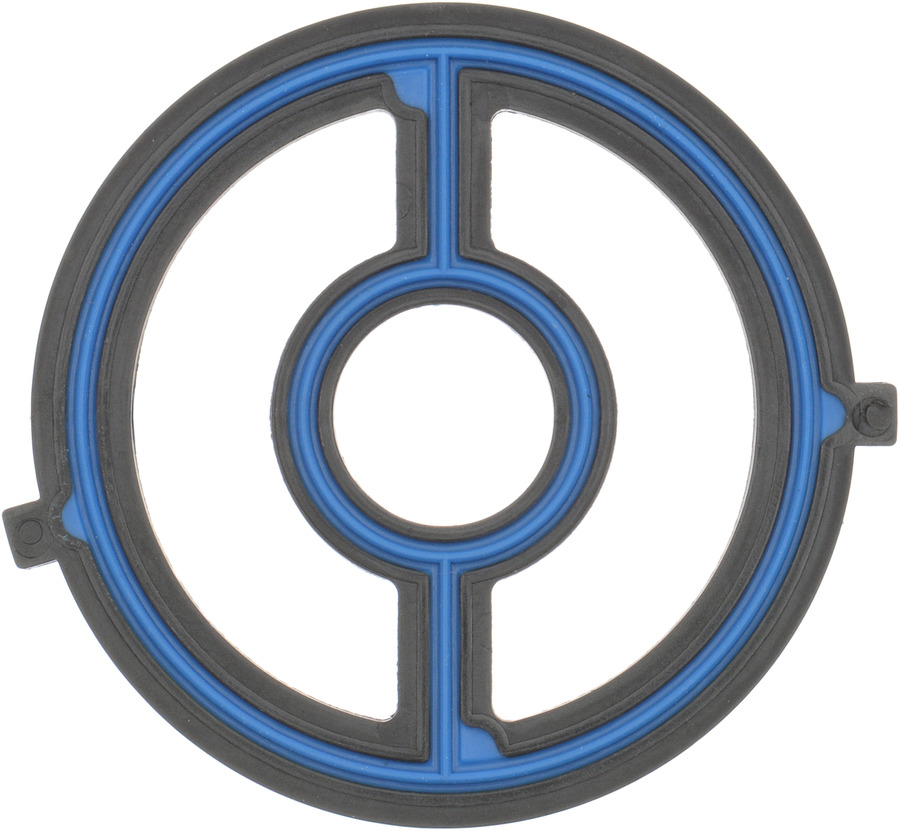 Engine Oil Cooler Gasket