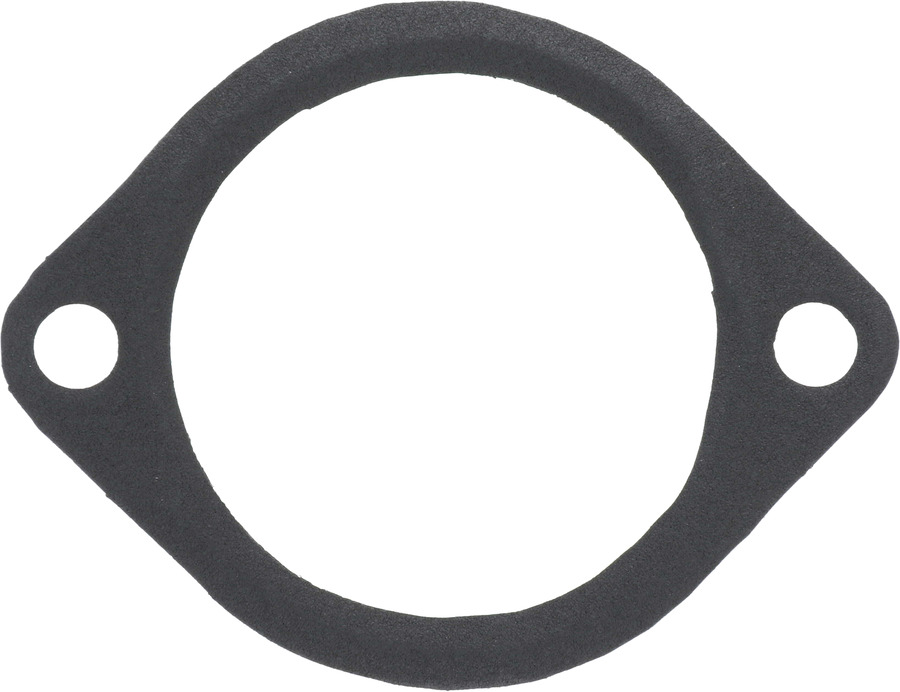 Fuel Injection Plenum Gasket