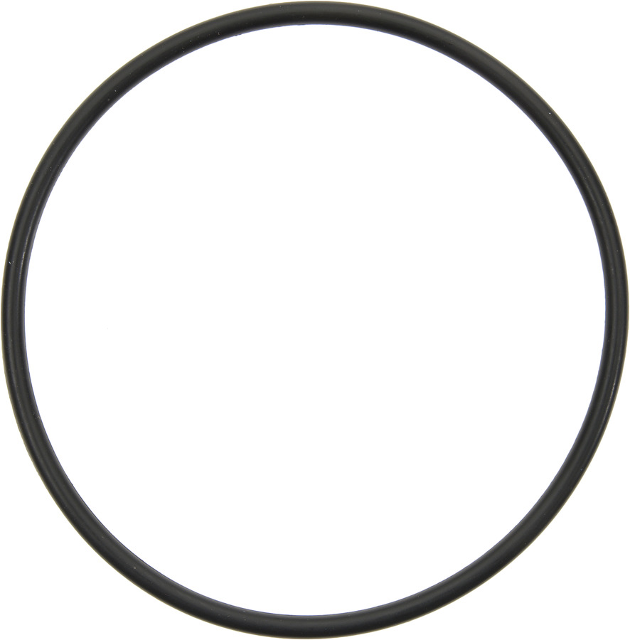 Fuel Injection Plenum Gasket