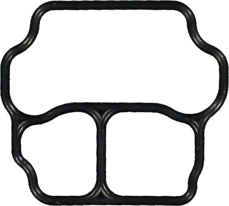 Fuel Injection Idle Air Control Valve Gasket