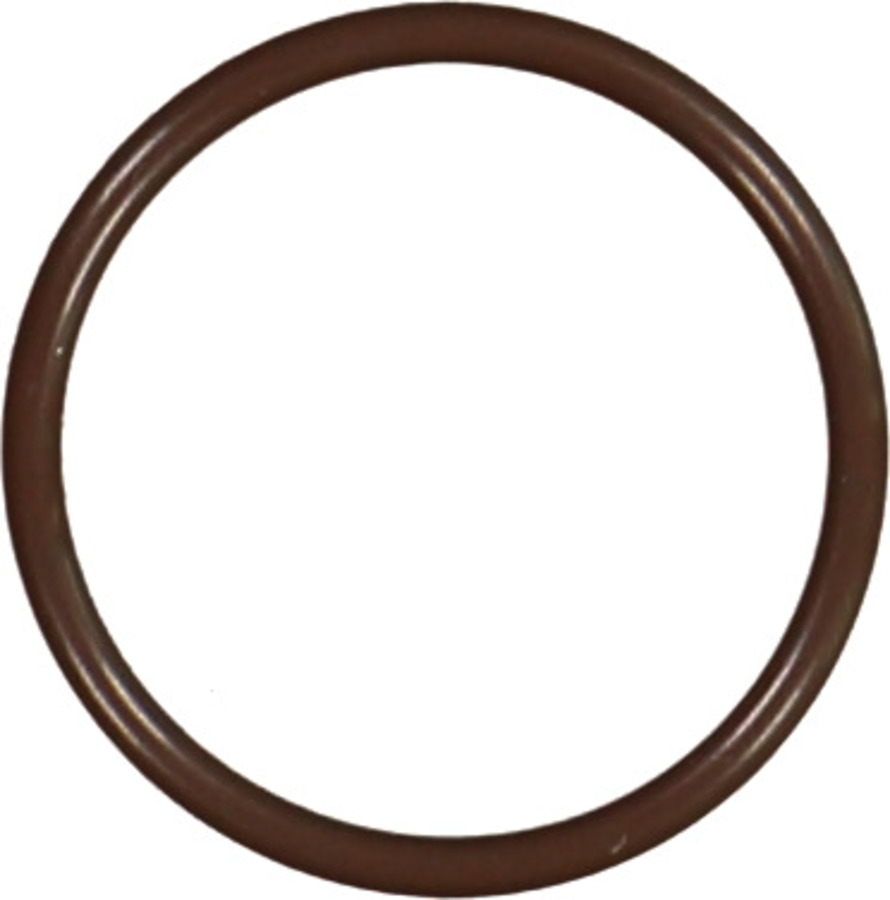 Fuel Injection Idle Air Control Valve Seal